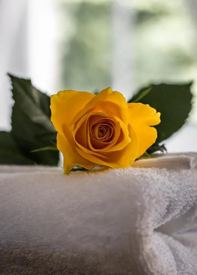 Scotia House - Beautifully Presented Accommodation Harrogate 4*,